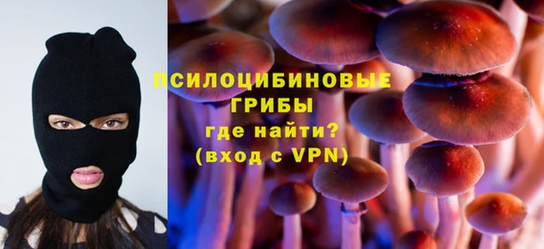ешки Инта