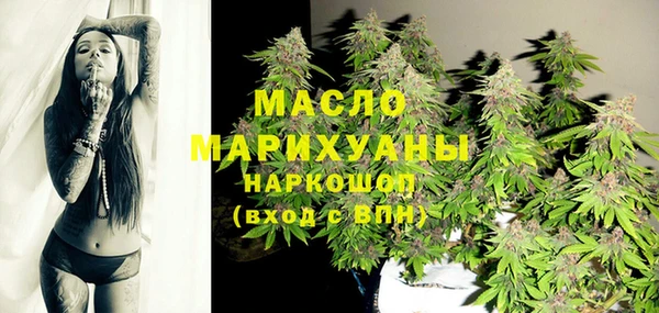 гидра Инсар