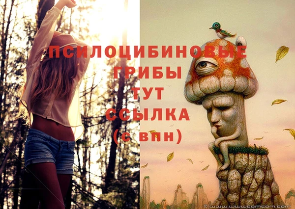 гидра Инсар
