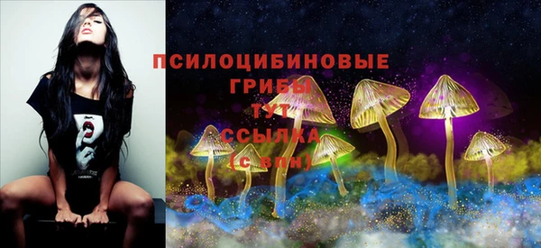 гидра Инсар