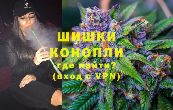 ешки Инта
