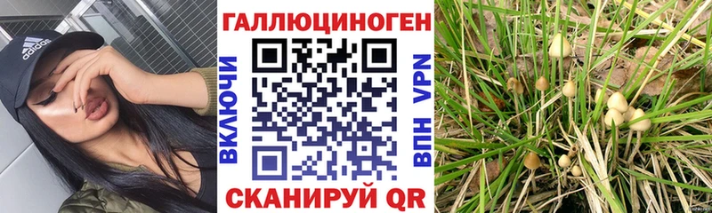 Галлюциногенные грибы прущие грибы купить Шиханы